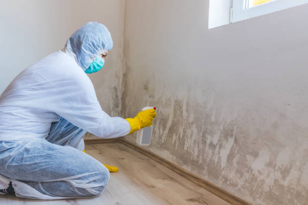 Hvac And Air Duct Mold Remediation inspection of HVAC system in Fruitport